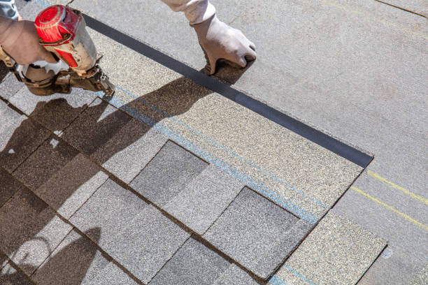 Best Storm Damage Roof Repair  in Belvidere, NJ