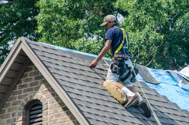 Best Gutter Installation and Roofing  in Belvidere, NJ